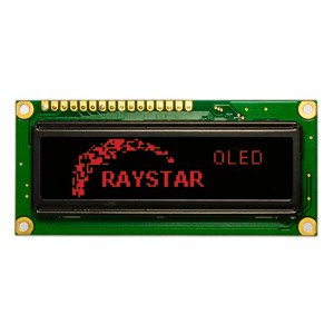 Raystar Optronics OLED displej Raystar REG010016ARPP5N00000